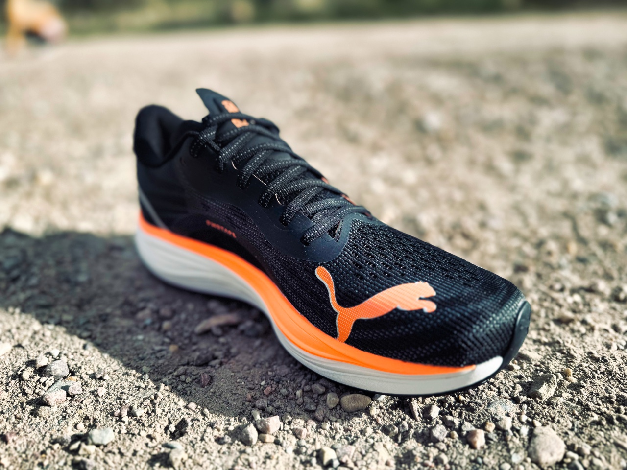 Picture of PUMA Velocity Nitro 3